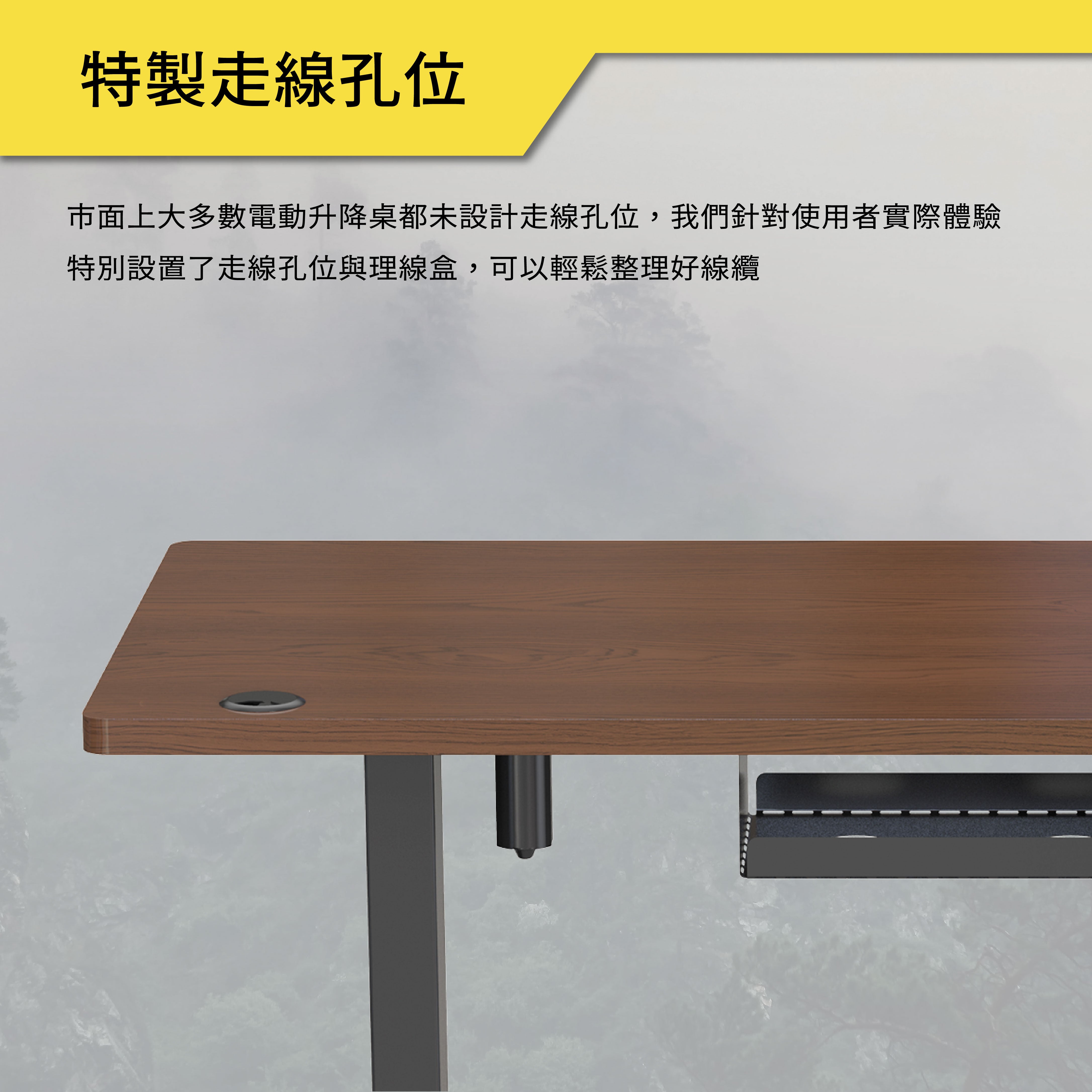 薩摩頓 SAMOTON SD1-120 時尚電動升降桌